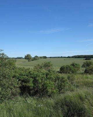 Ausblick aus dem DG: Grdst.