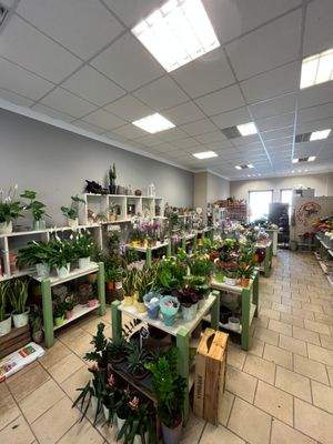 Verkaufsfläche (5).jpg