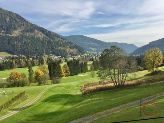Ferienchalet (24)