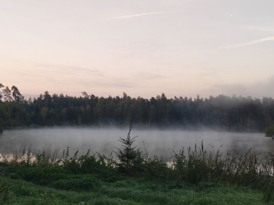 Kammerweiher (2)