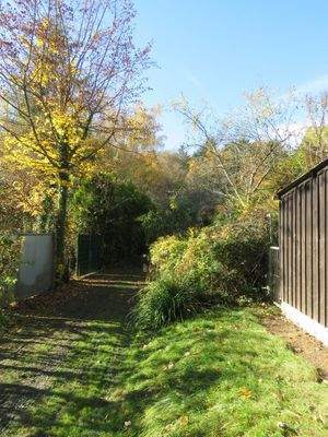 unterer Weg führt zum Wald