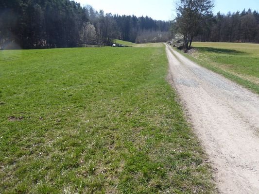Bild1