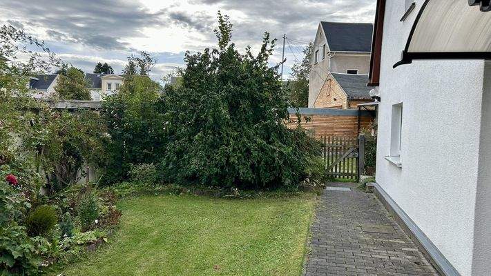 Garten/Eingangsbereich