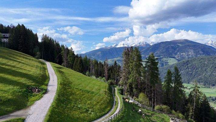 Agstner-Hof-Oberparzenberg-Luxus-Immobilie-Chalet-Olang-Bauernhof-Sanierungsbedürftig-Bauernhaus-Kronplatz-Skigebiet-südtirol-urlaub-Aussicht-Alleine-mitten in der Natur-Autonom-Quelle