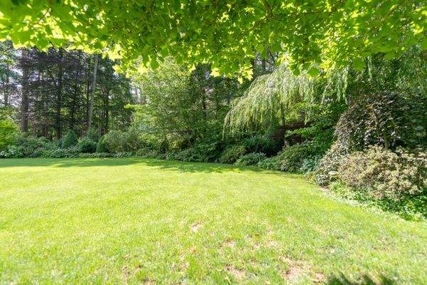 Rasenfläche Haupthaus