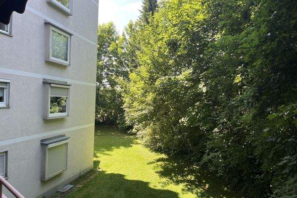 Grünfläche ums Gebäude