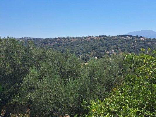 Kreta, Douliana: Renoviertes Steinhaus mit Pool und Garten zu verkaufen