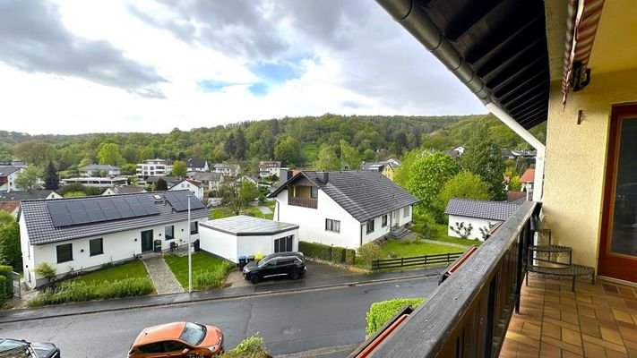 Whg. 1.OG Ausblick