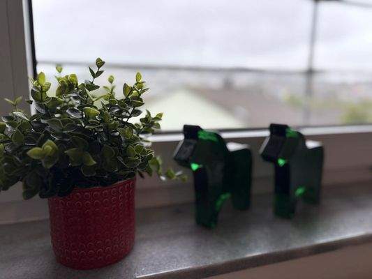 PHOTO-2025-09-12-12-53-46 1.jpg