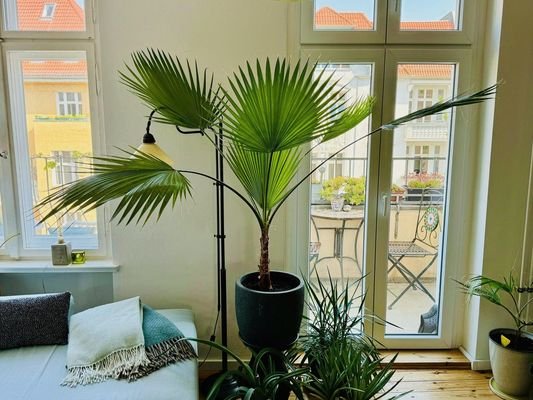 Wohnzimmer mit Balkon