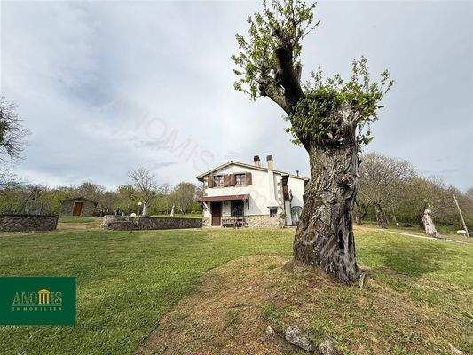 Einfamilienhaus mit 1 Hektar Kastanienwald