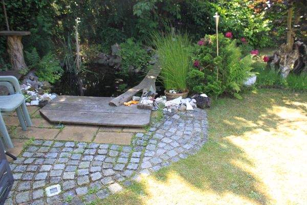 Der Teich ist natürlich