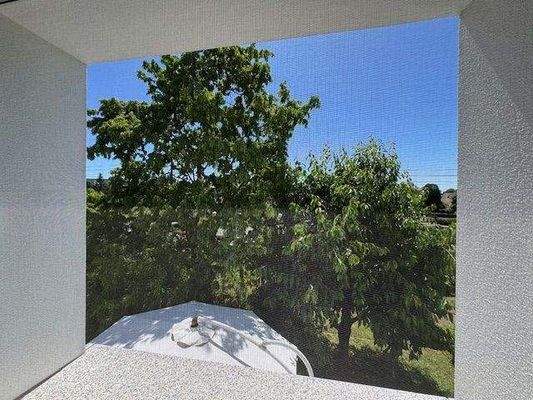 EG/OG: Ausblick Wohnbereich zum Garten