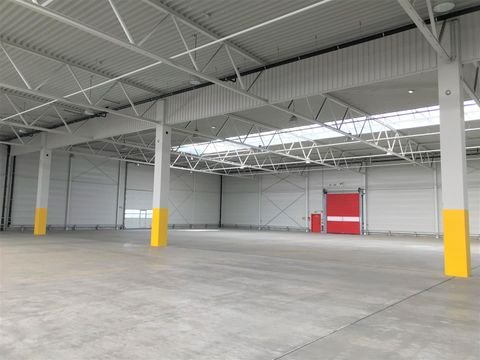 Leipzig Halle, Leipzig Hallenfläche