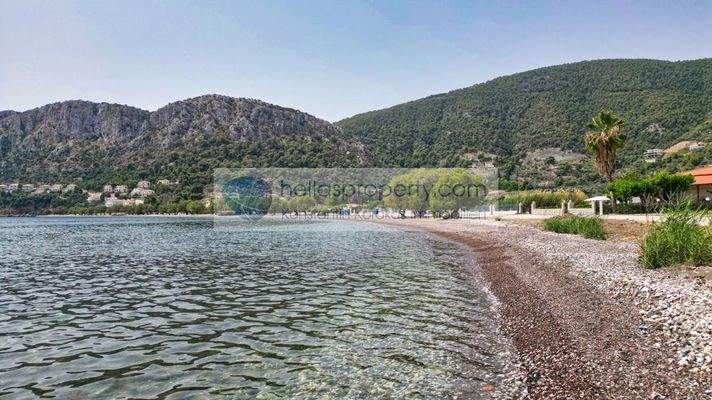 img_a36c8d95-f93a-43fc-9a0b-39669242836c