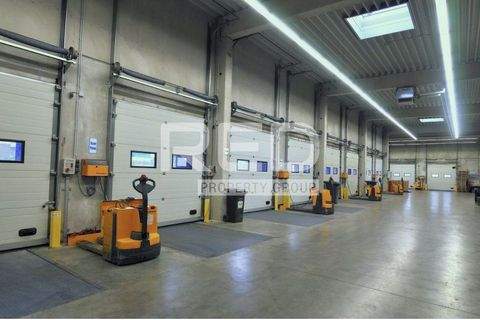 Langenfeld Halle, Langenfeld Hallenfläche