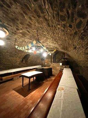 Gewölbekeller unter dem Haupthaus 