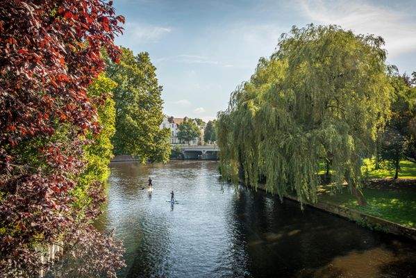 Umgebung - Alsterkanal