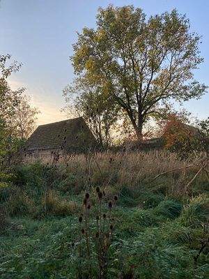 Grundstück in Richtung Hammerstiel.jpg