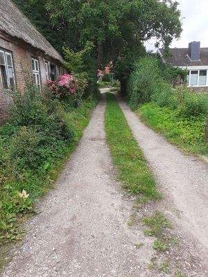 Öffentliche Straße am Blocksberg