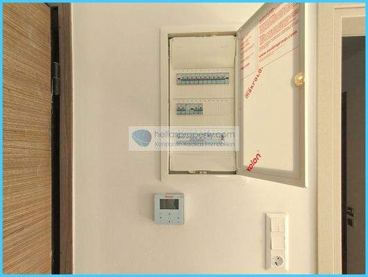 6253491501af429b8b00a1282cd9e554-original