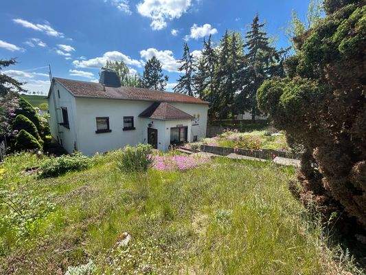 Ein Garten mit Sonne und Licht