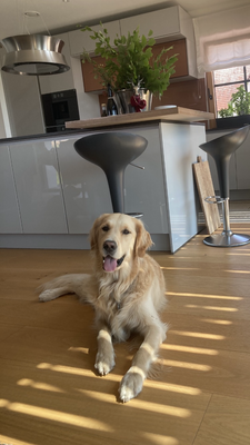 Blick in die offene Einbauküche. Hier fühlen sich 