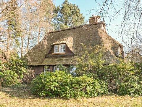 Seedorf Häuser, Seedorf Haus kaufen