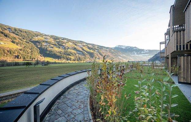 20251211 162304 DSC_6695 (8157cb53-2d22-4ad7-82d4-d9641c57dc53)