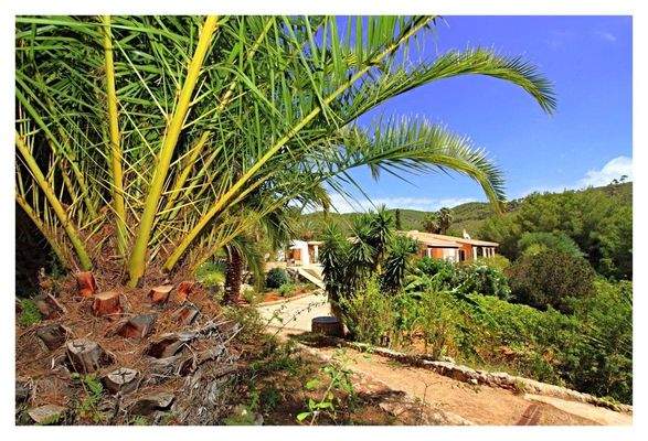 CAN CAMI2house and palms24