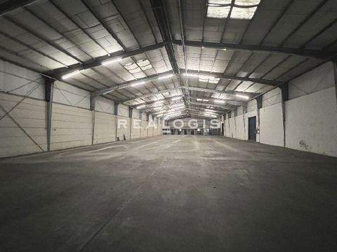 Langenhagen Halle, Langenhagen Hallenfläche