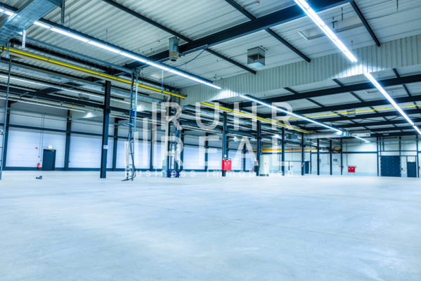 Hallenfläche