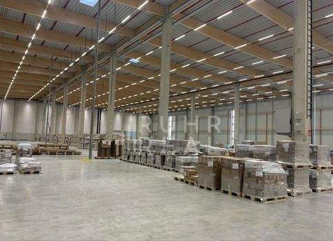 Dortmund Halle, Dortmund Hallenfläche