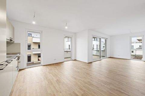 Wiener Neustadt Wohnungen, Wiener Neustadt Wohnung mieten