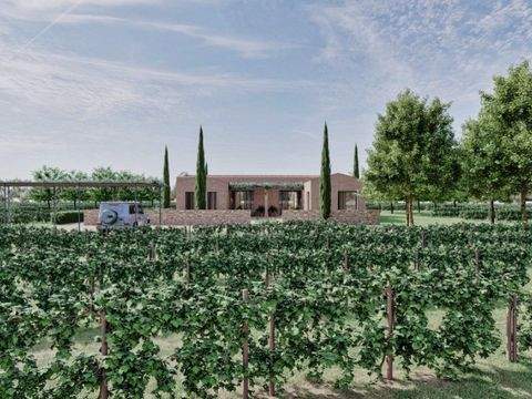 Felanitx Grundstücke, Felanitx Grundstück kaufen