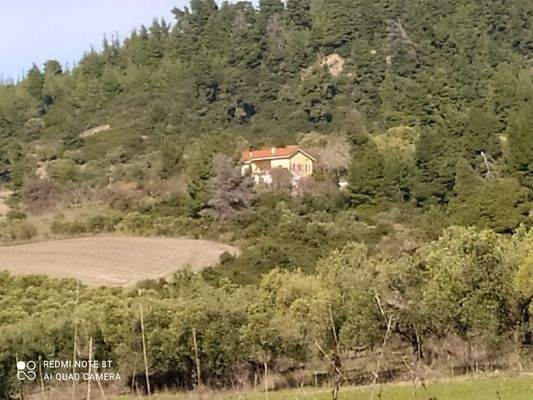 Haus inmitten der Natur mit Blick auf zwei Meere.j