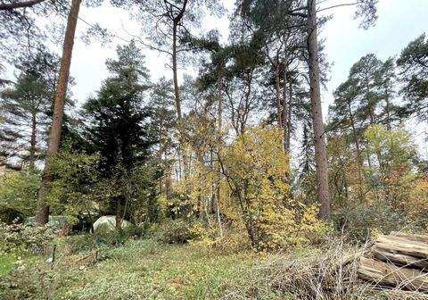 Gifhorn Grundstücke, Gifhorn Grundstück kaufen