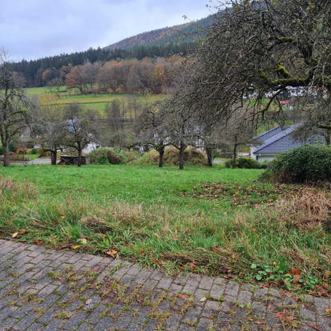 Weilbach Grundstücke, Weilbach Grundstück kaufen