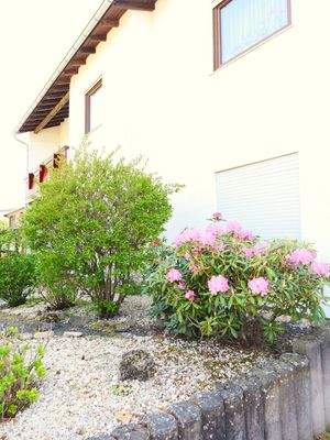 Vorgarten pflegeleicht