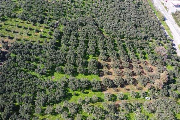 Kreta - Kaloudiana: Schönes Grundstück mit Berg- und Meerblick