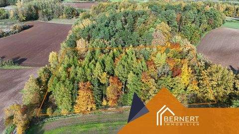 Marktzeuln Bauernhöfe, Landwirtschaft, Marktzeuln Forstwirtschaft