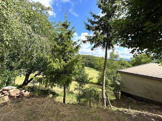 Fernsicht auf die Stadt Wittlich möglich 