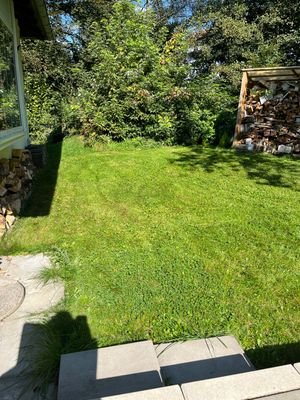 IMG_3970.jpeg
