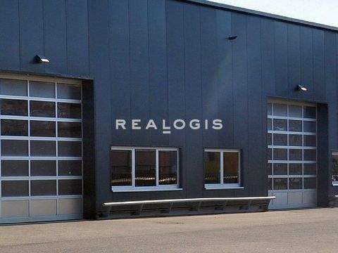 Siegenburg Halle, Siegenburg Hallenfläche