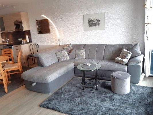 bequemes großes Schlafsofa