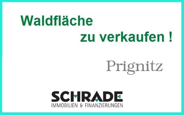 8,7 ha Waldflächen in der Prignitz