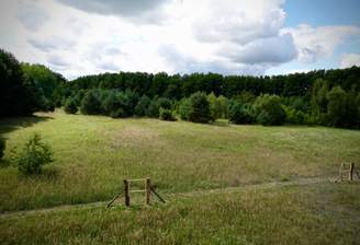 Blick vom Haus ins Grundstück