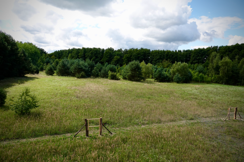 Königs Wusterhausen Häuser, Königs Wusterhausen Haus kaufen