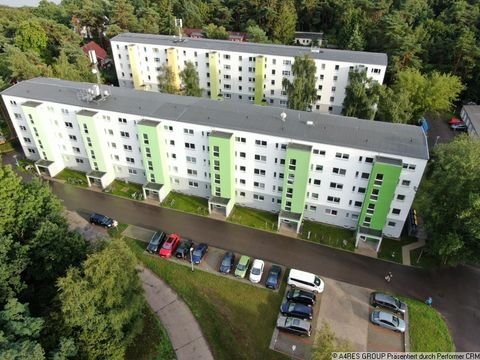 Greifswald Wohnungen, Greifswald Wohnung mieten