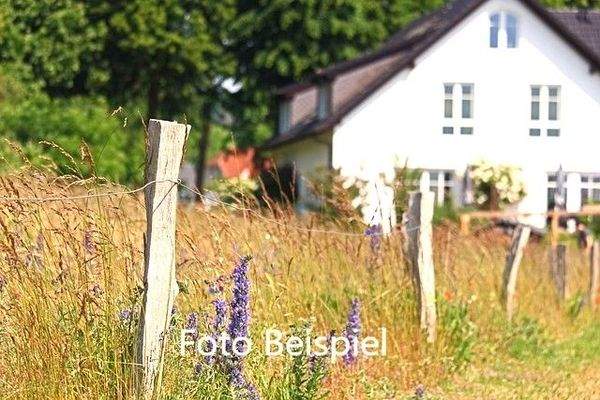 Grundstück mit Altbestand